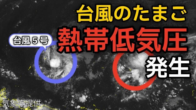 【台風情報】台風のたまご「熱帯低気圧」が新たに発生...今後の進路、日本への影響は？「台風5号（ハグピート）」はいまどこ？8日（金）～13日（水）雨風シミュレーション画像で詳しくみる【気象庁 8日午後10時更新】|TBS NEWS DIG