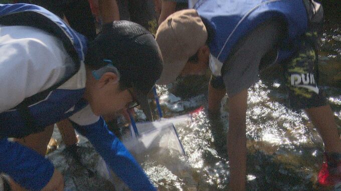 夏休みの小学生が“川の自然”を学ぶ 生き物調査で川の水質調査　|　石川県のニュース｜MRO北陸放送