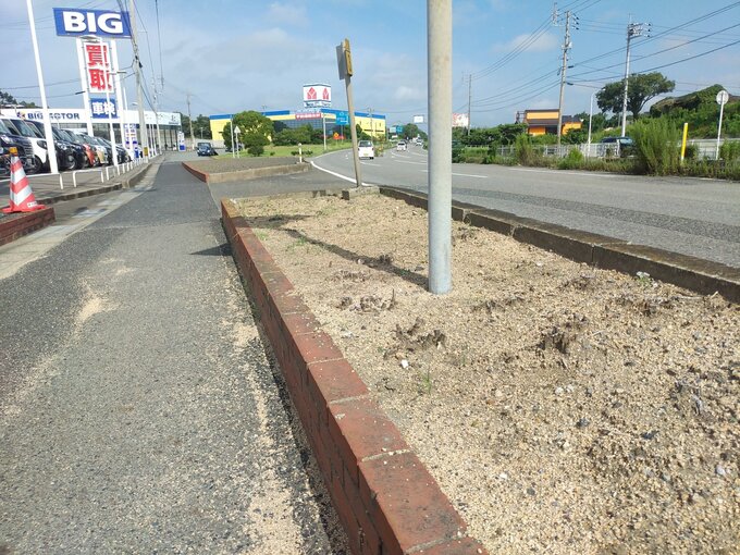 ビッグモーター全国７県の９店舗で　国交省が除草剤成分検出を発表　山口県宇部店前からも|TBS NEWS DIG