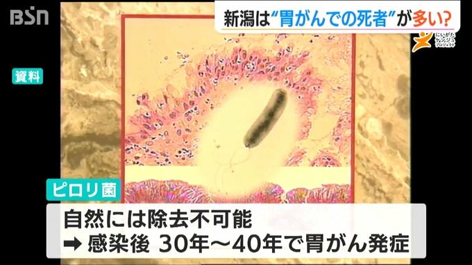 “胃がんによる死亡率”が全国ワースト7位の新潟県　塩分摂取量が多いとリスク高？さらにピロリ菌にも要注意　|　新潟のニュース・天気｜BSN NEWS｜BSN新潟放送