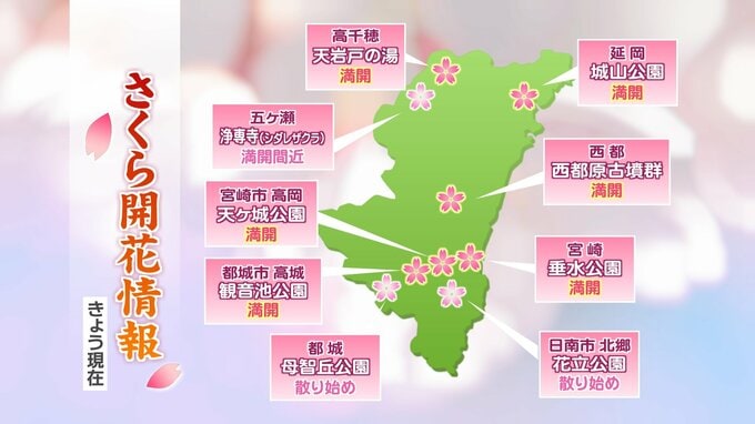 宮崎県内　主な桜の名所の開花状況(4日現在)|TBS NEWS DIG