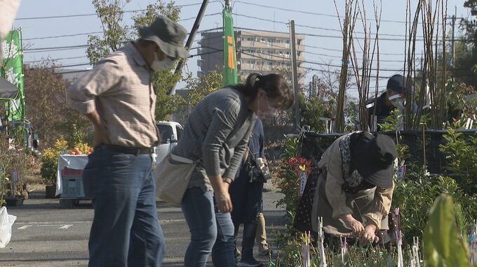 全国有数の植木の町・福岡県久留米市田主丸から果樹や苗木ずらり！毎年恒例 植木祭り始まる　山口	|TBS NEWS DIG