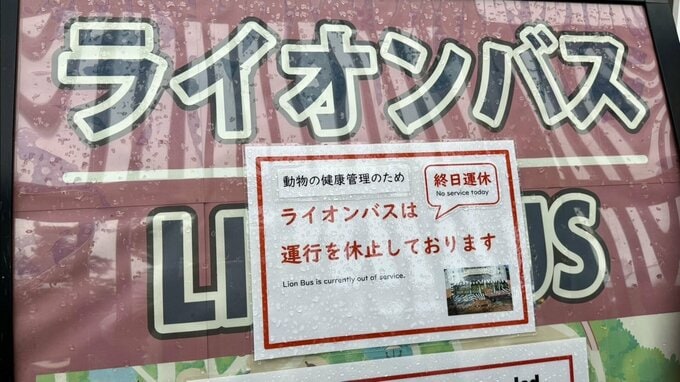 ライオン3頭が立て続けに死ぬ　多摩動物園公園　熱中症か|TBS NEWS DIG