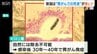 “胃がんによる死亡率”が全国ワースト7位の新潟県　塩分摂取量が多いとリスク高？さらにピロリ菌にも要注意　|　新潟のニュース・天気｜BSN NEWS｜BSN新潟放送