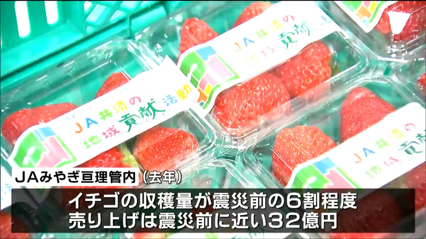 イチゴミルクにして食べるのが一番好き」2町すべての小中学校などに