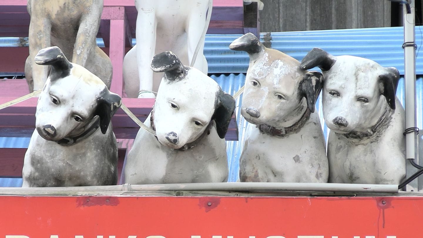 屋根にずらりと並んだ「ビクター犬」がつないだ絆 特別な2匹に秘められ