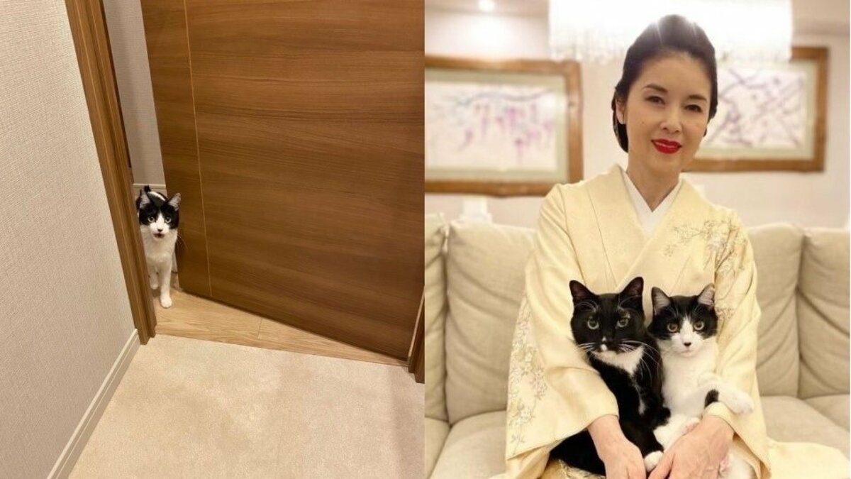 藤あや子】愛猫・オレオが「きょうネコの日だからね！！」溢れる愛に