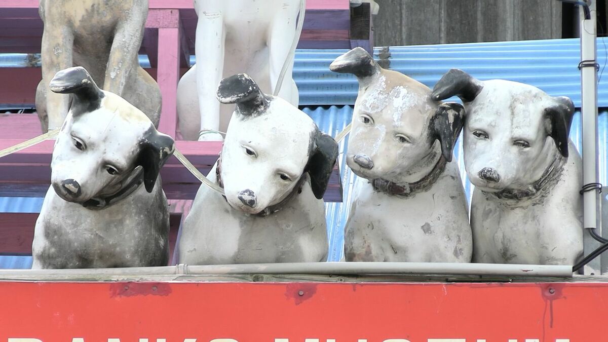 屋根にずらりと並んだ「ビクター犬」がつないだ絆 特別な2匹に秘められ