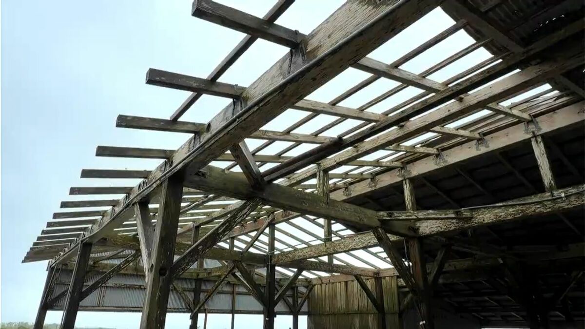 台風6号の強風で鹿児島は100棟近く建物被害“6月観測史上最大”交通は順次再開へ