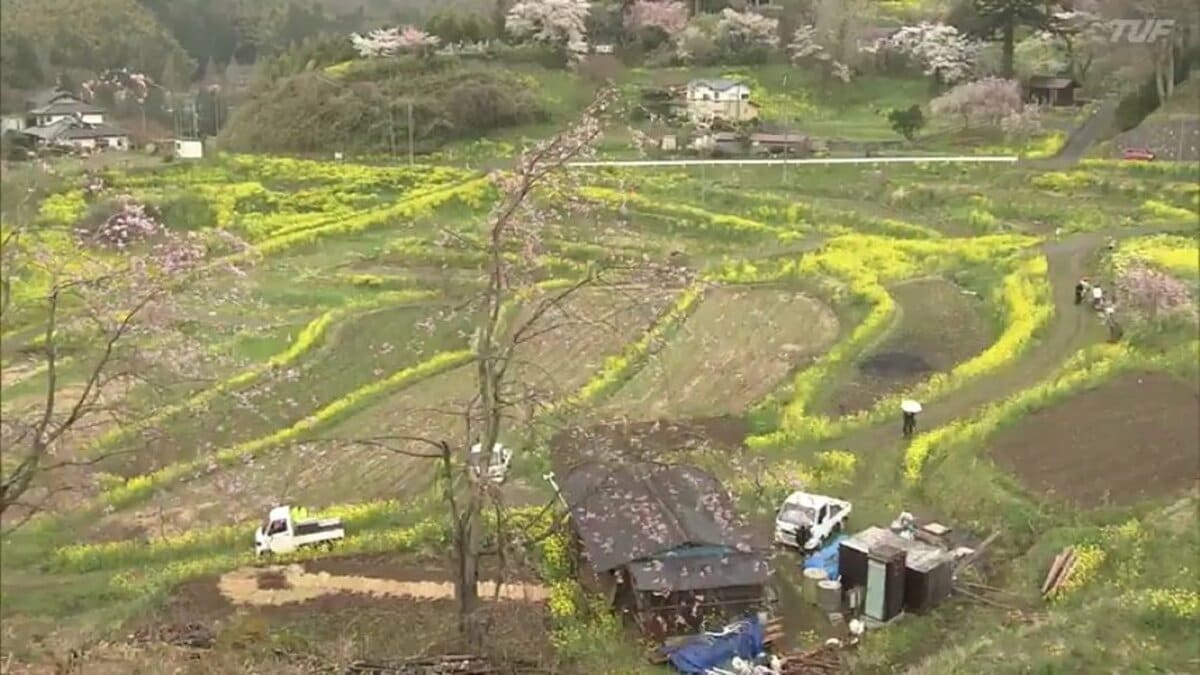 里山の原風景…棚田遺産認定「西谷棚田」を内堀知事が視察 福島・二本松