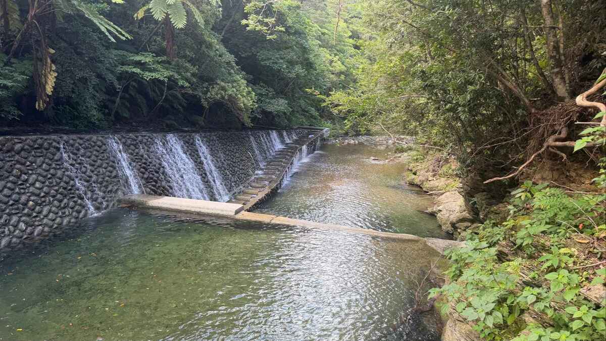 源河川で遊泳中に死亡した男性の身元判明、名護市の25歳　堤防から飛び込み浮上せず
