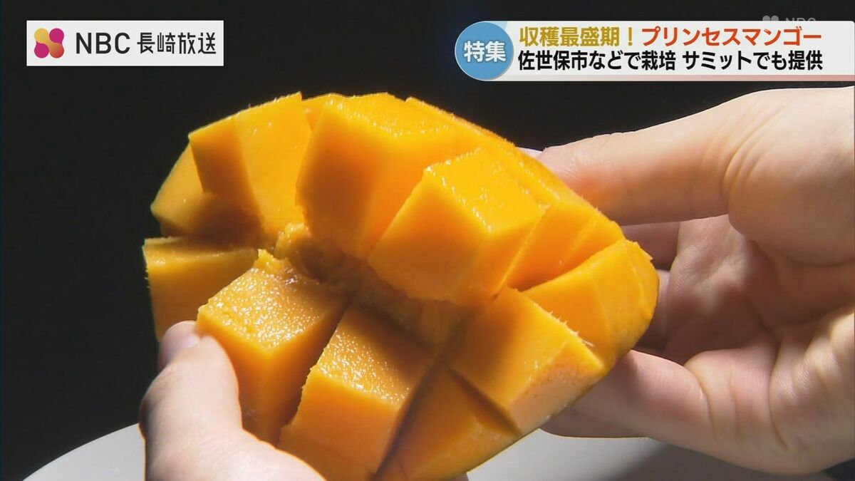 G20大阪サミットでも採用された「お姫様」のように育てるブランド