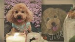 トリミング中に喉にハサミが刺さり…“愛犬の死を無駄にしない” 飼い主家族の闘い「ペットは物じゃなくて家族」一部賠償認められるも “慰謝料額は判例の範囲内”|TBS NEWS DIG