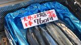サンマは「高級魚で手が出しづらい」漁獲量は15年間で約8割減 仕入れ値は5倍…一方 キノコは“物価の優等生” | 静岡のニュース | SBSNEWS | 静岡放送