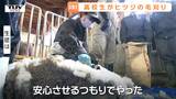ヒツジは毛を刈らないと〇〇〇になってしまう！？村山産業高校の生徒たちが毛刈りに挑戦　生きるための羊の衣替えとは（山形）　|　山形のニュース│TUYテレビユー山形