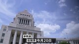 参議院選挙「公示」 各党党首が第一声 事実上の“政権選択選挙” 本格スタート|TBS NEWS DIG