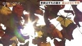 11月とは思えない!富山29℃予想 夏日続出 観測史上最高の可能性も… |TBS NEWS DIG