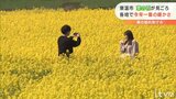 100万本の菜の花が見ごろ！今年一番の暖かさ 春の訪れ告げる 愛媛・東温|TBS NEWS DIG
