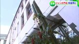 「平穏な正月を願って」西日本豪雨の被災地、倉敷・真備町の竹を使った”ジャンボ門松”が市役所にお目見え|TBS NEWS DIG