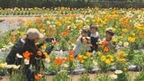 GW期間中、最多入場者数は「るるパーク」 大分県内の観光施設に48万人以上が訪れる | 大分のニュース|OBS NEWS|大分放送
