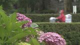 あす朝までに内陸80ミリ、沿岸60ミリの予想 雷伴う大雨で土砂災害や河川増水に警戒を 岩手 |TBS NEWS DIG