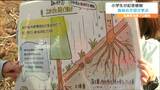 「スギの木は根を大きく張るため土砂崩れを防止する」スギの苗を植樹した小学生が学んだこと 宮城・丸森町 | 宮城のニュース│tbc NEWS│tbc東北放送