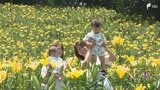 「心がきれいになります」色とりどりのユリが咲き誇り見頃迎える 可睡ゆりの園は7月5日まで開園=静岡・袋井市 | 静岡のニュース | SBSNEWS | 静岡放送