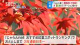 「おすすめ紅葉スポットランキング」3年連続日本一に選ばれたことも…150メートルのもみじのトンネルが人気、もみじ湖の紅葉見頃に | SBC NEWS | 長野のニュース | SBC信越放送
