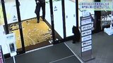 冬眠しないクマ? 専門家「今季の動きはかなり異常」 なぜこの時期、しかも大型ショッピングセンターに・・・ 出没の背景を聞く|TBS NEWS DIG