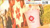 完熟イチゴのスイーツを楽しめるカフェがオープンへ 農業6次産業化の拠点に 仙台|TBS NEWS DIG