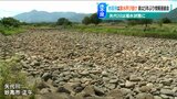 「農作物だけでなく市民生活にも今後影響か…」梅雨明けにまとまった雨降らず…矢代川では“渇水”も 新潟県|TBS NEWS DIG