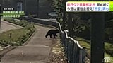「早く捕まえてほしい」保護者からは『不安』の声 クマの目撃相次ぐ青森市浪岡で警戒続く 付近のリンゴ農家からも「怖いなと思うけど…」|TBS NEWS DIG