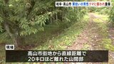 「親子のツキノワグマに遭遇した」75歳男性が腕の骨を折るなどの重傷　岐阜・高山市|TBS NEWS DIG