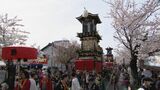 「ことしは桜がジャストミート!」約400年の歴史 ユネスコ無形文化遺産“犬山祭” 車山(やま)と桜の共演|TBS NEWS DIG