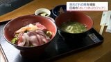 日南市内の飲食店で「めいつ丼ぶりフェア」 新鮮な地元どれの魚を使った海鮮丼などが人気 | MRTニュース | MRT宮崎放送