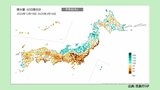 太平洋側は空気カラカラ 乾燥と強風で火災のリスク大 30日間の降水量は東京都心でわずか7.5ミリ | 福岡のニュース|RKB NEWS|RKB毎日放送