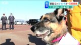 “災害救助犬”が大活躍「火の取扱いに十分注意を!」一日消防署長に抜擢|TBS NEWS DIG