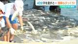 タイやアジやコノシロなど なんと1000匹!! 網を引くこと40分!地元漁師もビックリの大漁と“浜汁”に小学生も大満足の『地引網体験』新潟県胎内市|TBS NEWS DIG