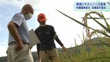環境に優しい農業の普及へ オーガニック農法とも呼ばれる有機農業の指導員を養成 岩手・雫石町|TBS NEWS DIG