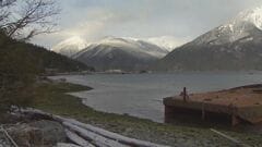 クマが遠足中の子どもらを襲う　4人負傷 うち2人重体　カナダ西部| TBS CROSS DIG with Bloomberg