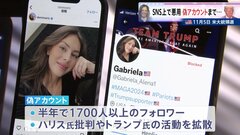 過去に投稿の写真を悪用、偽アカウントまで…アメリカ大統領選にフェイク情報| TBS CROSS DIG with Bloomberg