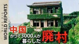 「廃村から20年」中国の小さな島の無人村　今なぜ人が集まる？【WORLD REPORTS】|TBS NEWS DIG