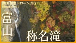 落差日本一 称名滝を彩る紅葉 【JNN 紅葉ドローンDIG】|TBS NEWS DIG
