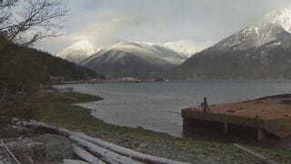 クマが遠足中の子どもらを襲う　4人負傷 うち2人重体　カナダ西部| TBS CROSS DIG with Bloomberg