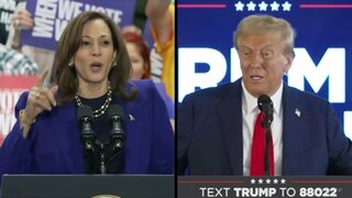 トランプ氏勝利なら株高、長期金利上昇、ドル高の可能性も　カギは同時に実施される“連邦議会選”| TBS CROSS DIG with Bloomberg