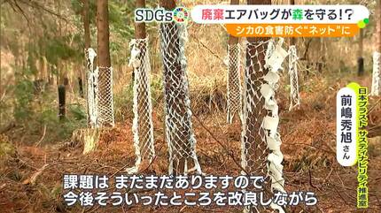 人の命だけでなく 森の樹木も守ることに使えないか」廃棄エアバッグで