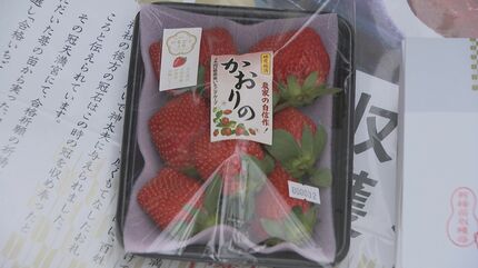 いちごの苗に合格の願い込め…「合格いちご」祈願 山口・光 | 山口の