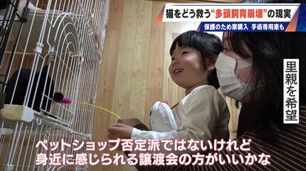 引き取り先決まりました＊ 最悪の現場。今から亡くなっている子を探す 