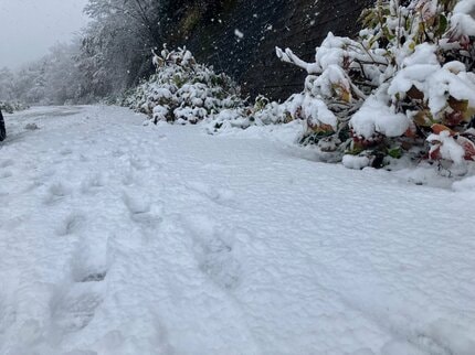 ノーマルタイヤ… こんなことになるとは。助けてください」山地で積雪