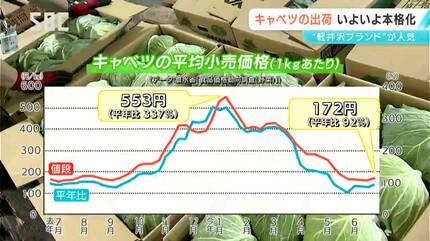 軽井沢ブランド」を全国へ！「夏秋キャベツ」の出荷が本格化する前に